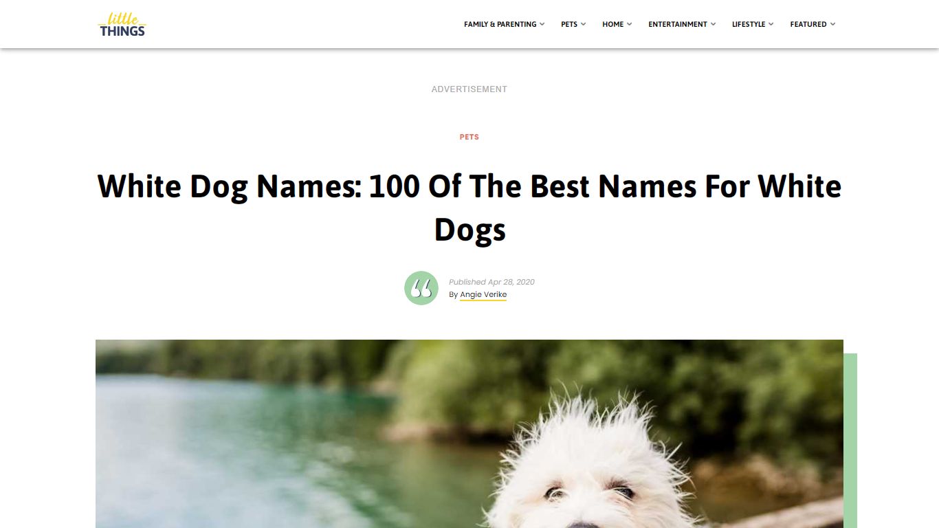 White Dog Names: 100 Best Names For White Dogs - LittleThings.com